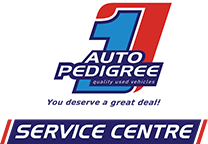 auto1_0000_Auto-Pedigree-Service-Logo-04